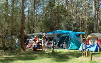 Едем на пикник